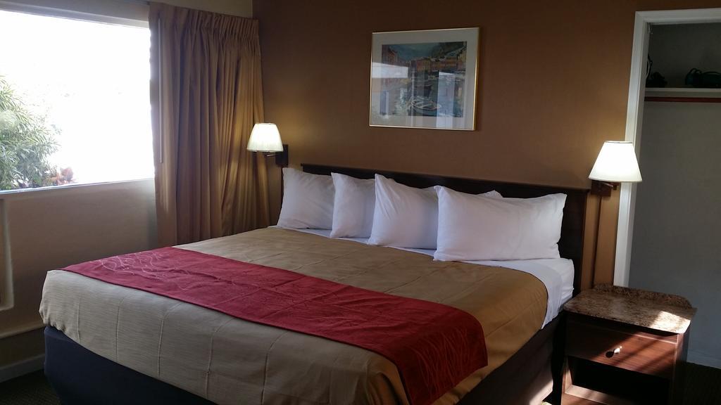 The Palms On Ocean Motel ปอมปาโนบีช ห้อง รูปภาพ