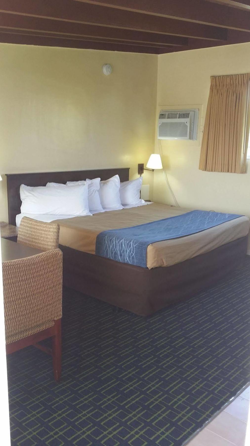 The Palms On Ocean Motel ปอมปาโนบีช ภายนอก รูปภาพ