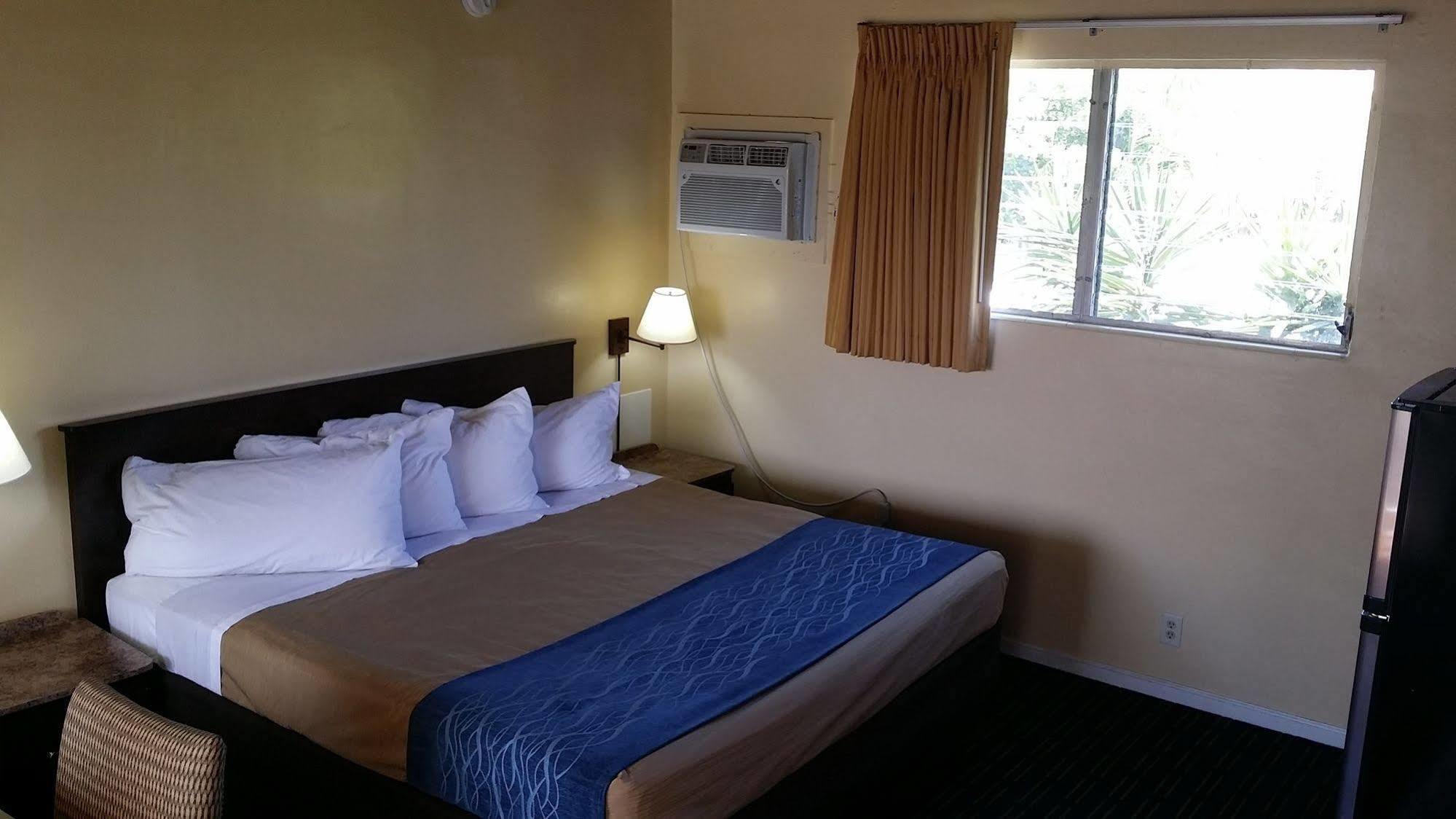 The Palms On Ocean Motel ปอมปาโนบีช ภายนอก รูปภาพ