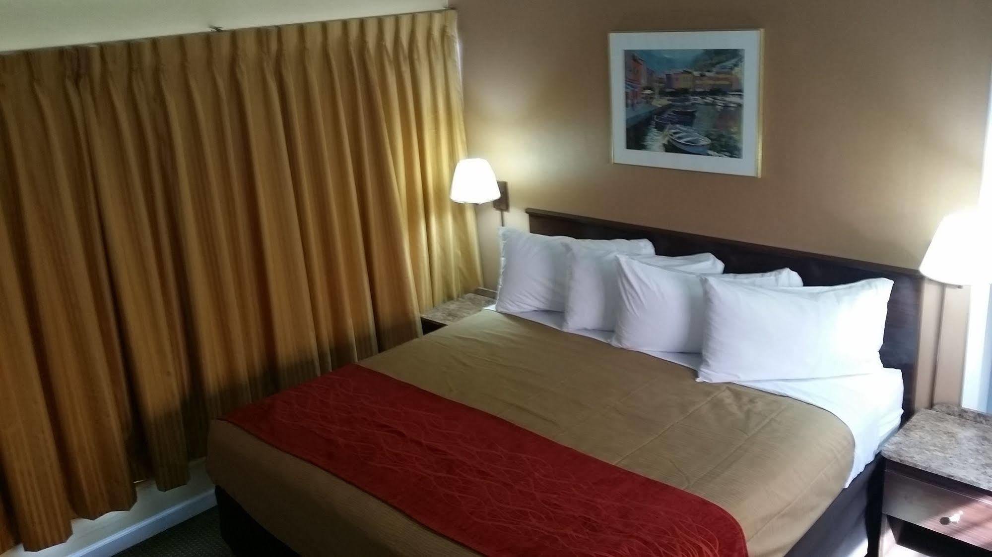 The Palms On Ocean Motel ปอมปาโนบีช ภายนอก รูปภาพ